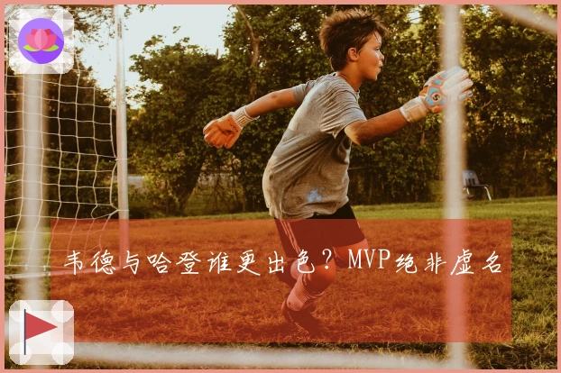 韦德与哈登谁更出色？MVP绝非虚名